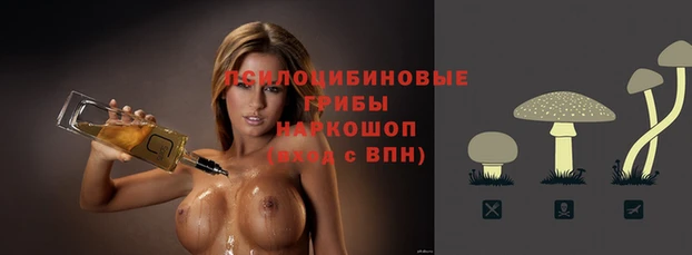 твердый Надым