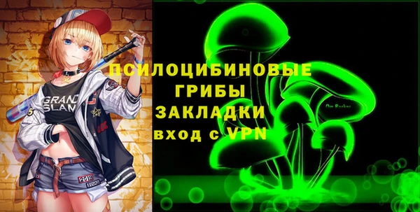 твердый Надым
