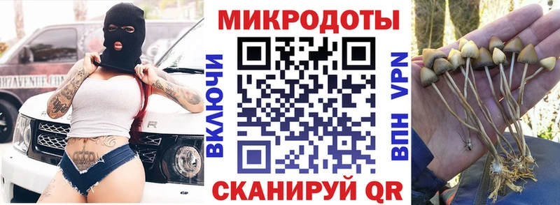 Псилоцибиновые грибы мицелий  даркнет сайт  мега ссылка  Орлов 